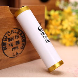 超牌隨身寶 創意年終禮品的理想之選